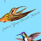 Hummingbird Flutter - Wrapping Paper