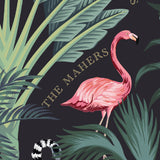 Find Me Feline - Note Cards